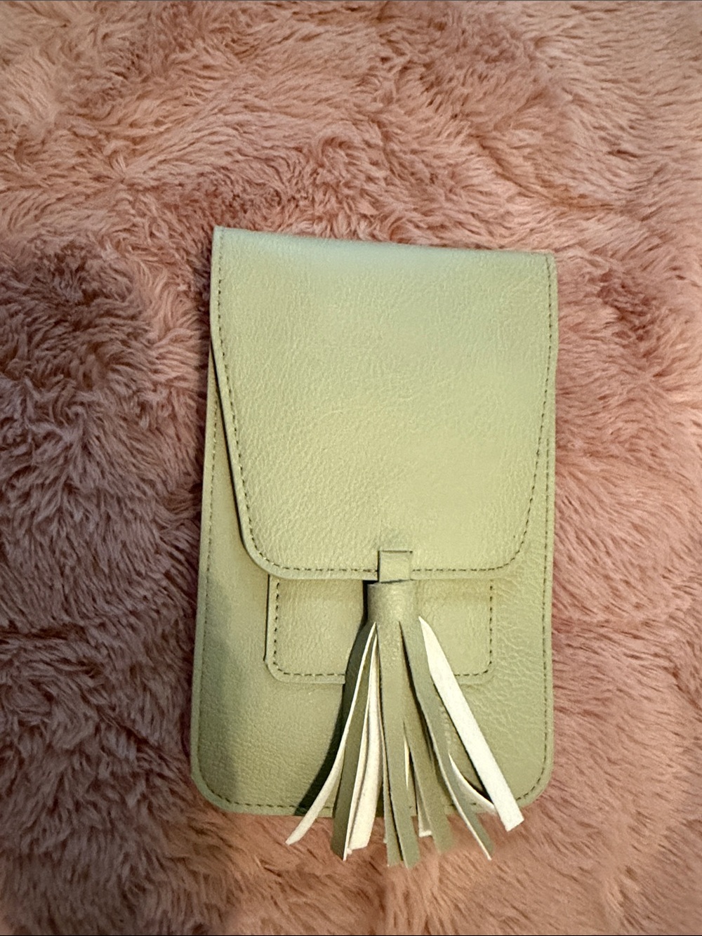 Women's Tassel Crossbody Pouch - sage/beige